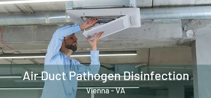  Air Duct Pathogen Disinfection Vienna - VA