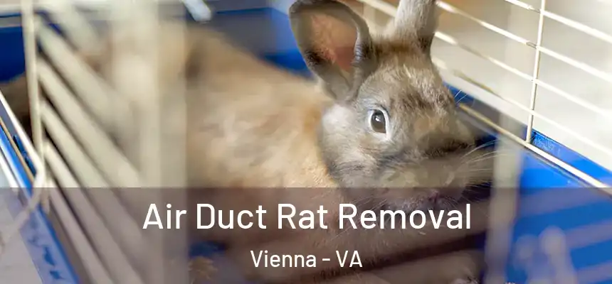  Air Duct Rat Removal Vienna - VA
