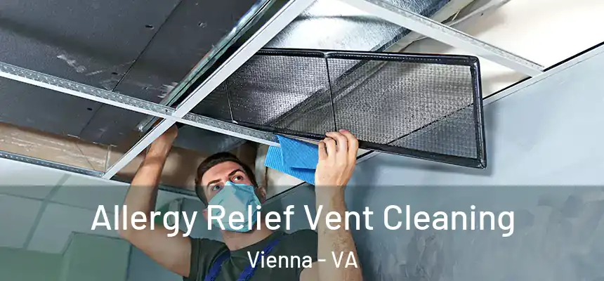  Allergy Relief Vent Cleaning Vienna - VA