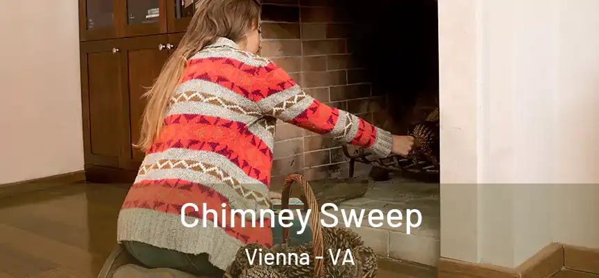  Chimney Sweep Vienna - VA