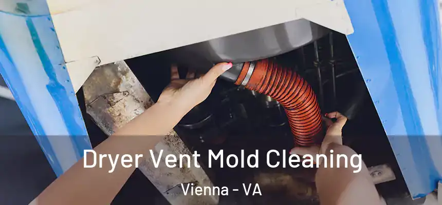  Dryer Vent Mold Cleaning Vienna - VA