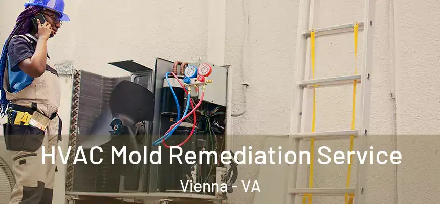  HVAC Mold Remediation Service Vienna - VA