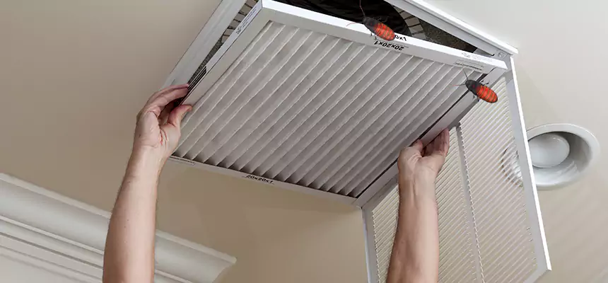 Our Insect Removal from Air Ducts Services in Vienna, VA