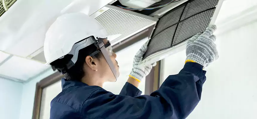 Our Mold & Mildew Removal from Air Ducts Services in Vienna, VA