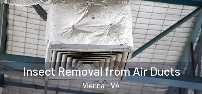  Insect Removal from Air Ducts Vienna - VA