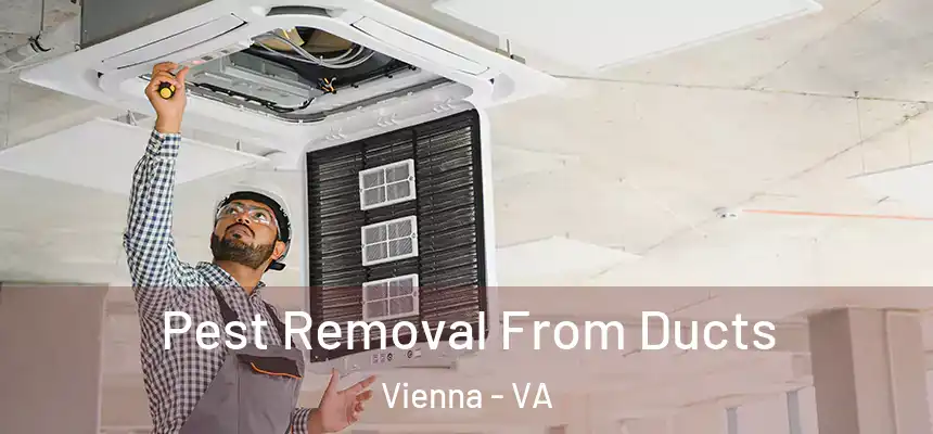  Pest Removal From Ducts Vienna - VA