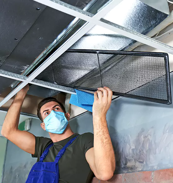 About Air Duct Bacteria Removal in Vienna