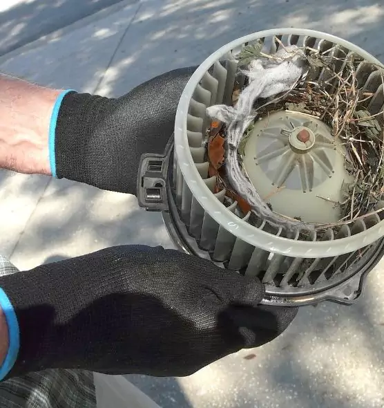 About Air Duct Rat Removal in Vienna, VA