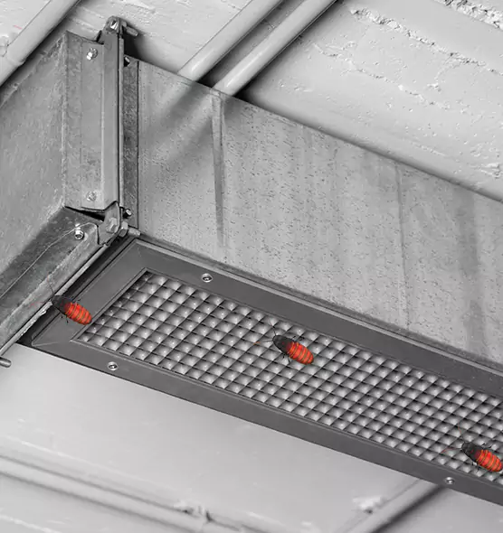 Affordable Insect Removal from Air Ducts in Vienna, VA